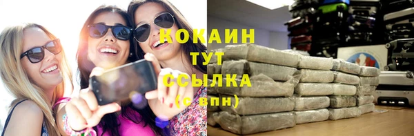 дживик Дмитров