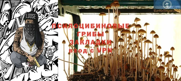 мдпв Дмитровск