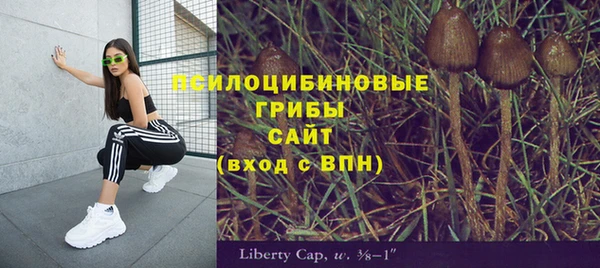 хмурый Карталы