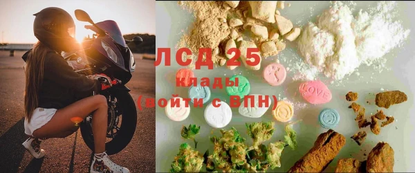 дмт Протвино